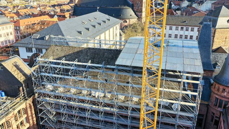 Gerüstbau Heidelberg von oben